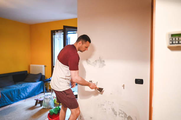 Best Affordable Mold Removal  in Cypress Quarters, FL